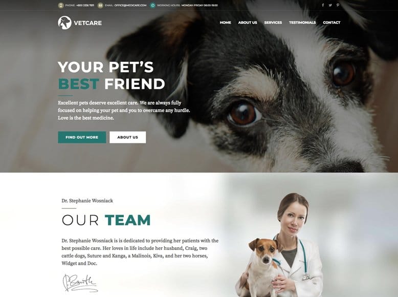 Medicare - Plantilla WordPress para clínicas veterinarias y centros de cuidado de animales
